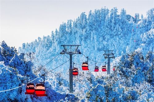 瓦屋山高山區(qū)重新開(kāi)放 特定群體三年免費(fèi)游覽邀約