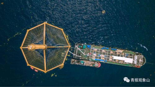 青島龍頭引領(lǐng)再升級 山東重磅規(guī)劃賦能，景區(qū)管理迎發(fā)展新機